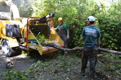 tree services Centre